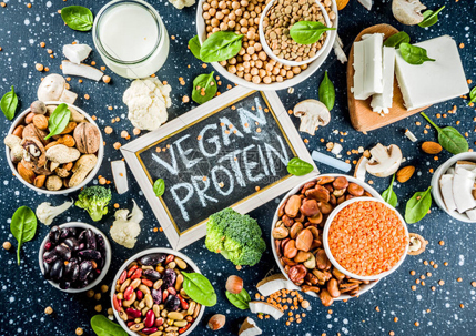 plant-based protein.jpg