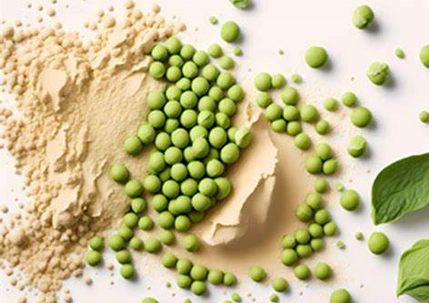 pea protein.jpg