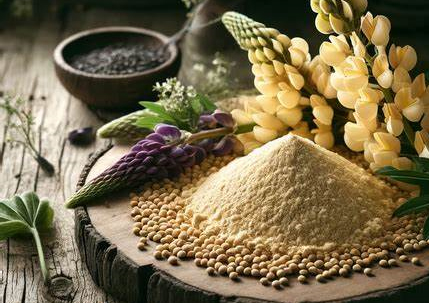 lupin protein powder.jpg