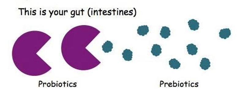 1751961893521106.jpg prebiotic.jpg