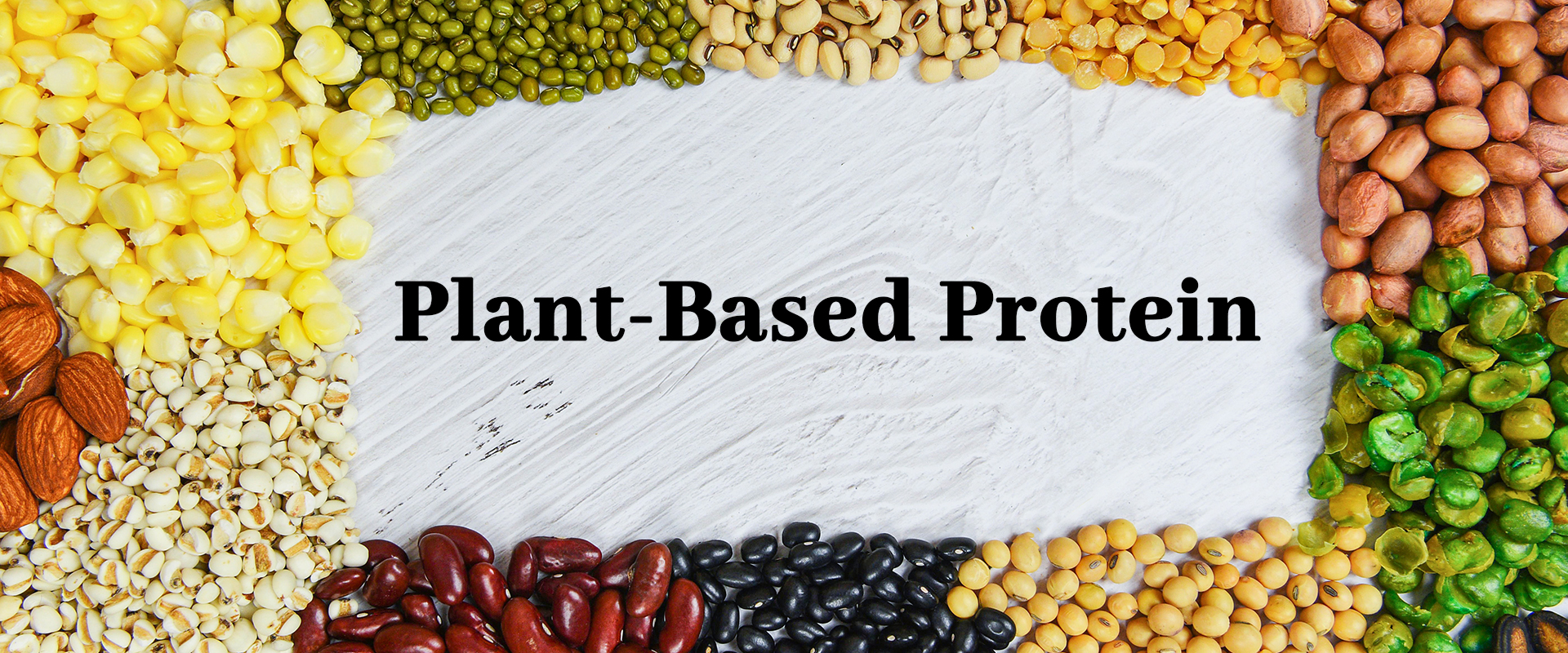 1752809536933165.jpg plant protein.jpg