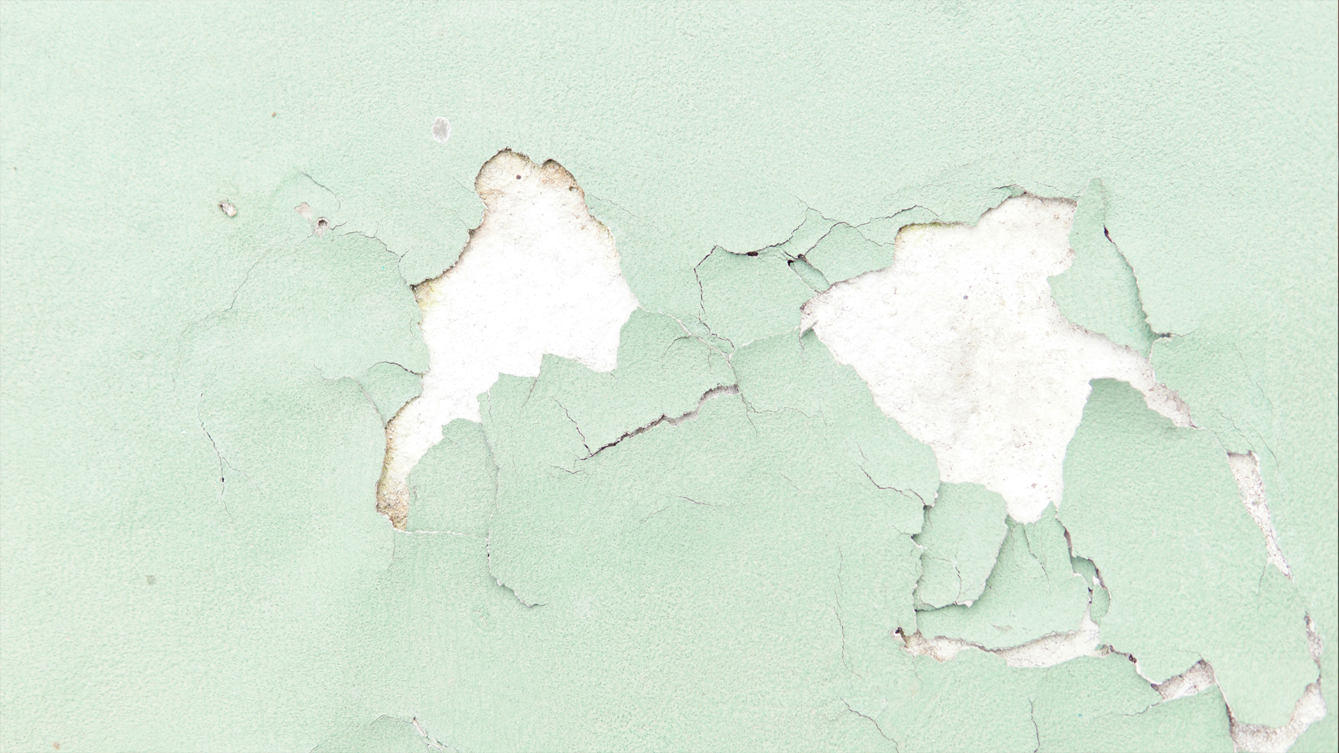 1759117632122220.jpg global supplier.jpg